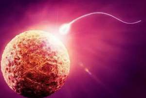 2018试管费用具体要多少？