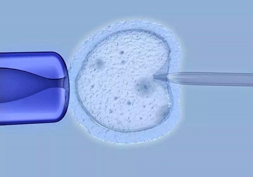 试管婴儿攻略怎么提高卵子质量？