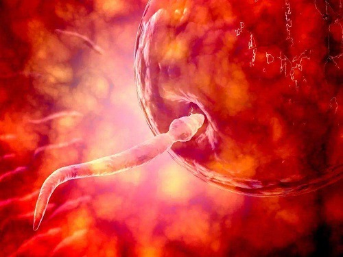 试管婴儿的孩子优缺点、试管自然周期和人工周期优缺点各是什么？
