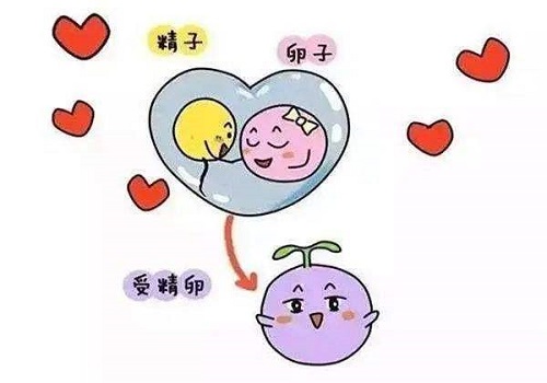 试管婴儿的利与弊，你知道多少？