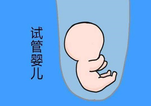 试管婴儿的费用要多少