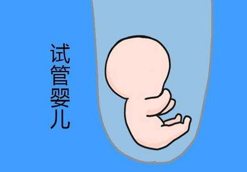 试管婴儿胚胎培养囊胚适合所有人？