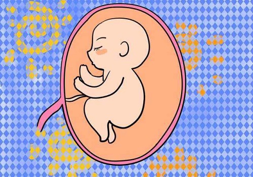 试管婴儿费用可以报销吗