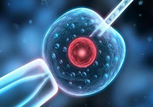 2022三代试管婴儿为什么只能移植一个囊胚？