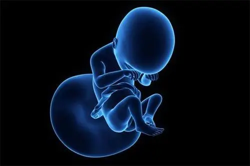 试管婴儿能很快成功怀孕吗？方法来了！