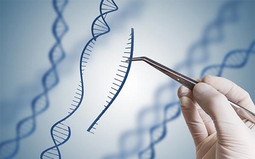 试管婴儿是自己的孩子吗？是用自己老公的精子吗？