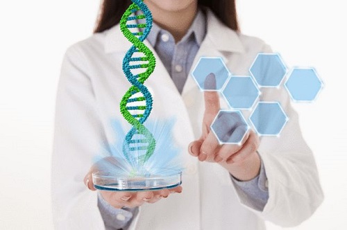 郑州第三代试管婴儿医院费用大概多少？