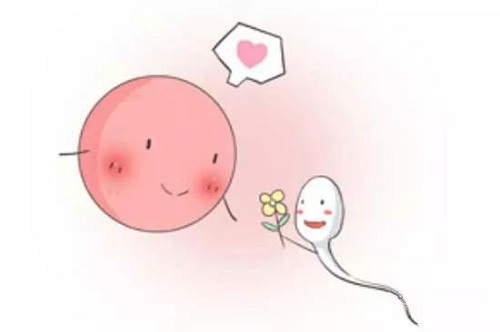 试管婴儿攻略之如何轻松面对