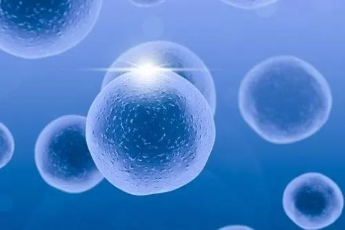 输卵管堵塞有积水能做试管吗？胚胎这床受影响吗？