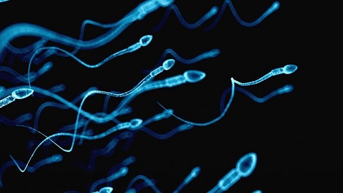 试管婴儿被证实最多活到45岁？不是！