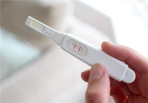 试管婴儿胚胎移植后哪些因素影响着床