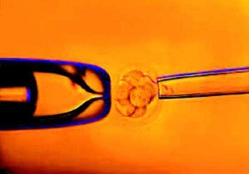 10个人做试管婴儿几个能成功？如何做能提高试管成功率？