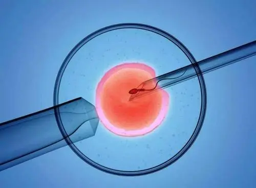 试管婴儿解析：胚胎透明带过硬？辅助孵化技术？