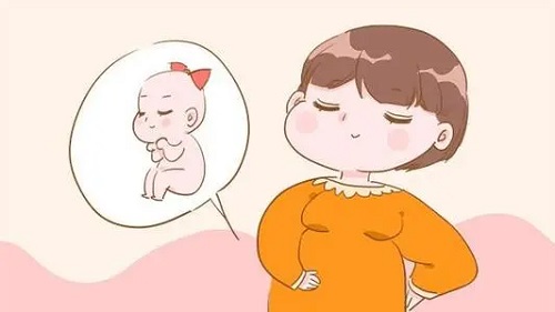 试管收费价目表