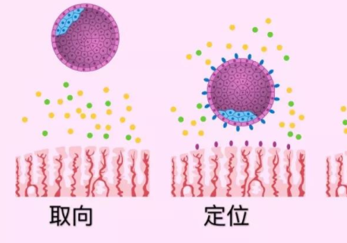 全国做试管婴儿最好的医院是哪家