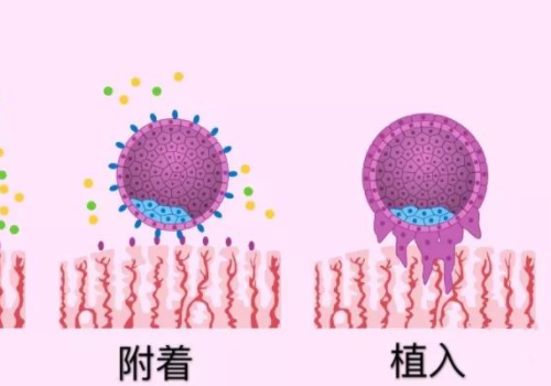 美国试管医院排名？